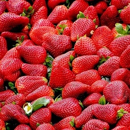 Le saladier de fraises