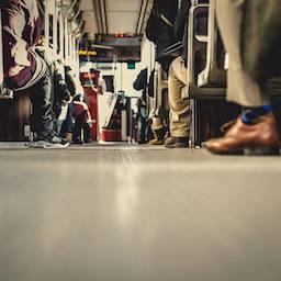 Les chaussures panda